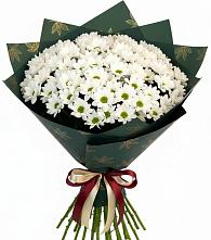 Букет море ромашек в Артемовске Букет цветов из:  Хризантемы в Артемовске